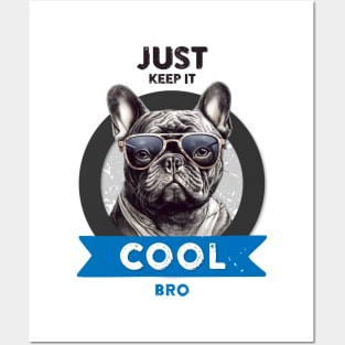 Just keep it cool, bro! Posters and Art